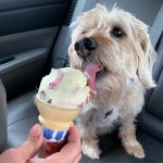 26556C4B-8E02-406B-8BE7-7376C634B340_Original