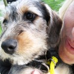 42800210635_500ae98307_o