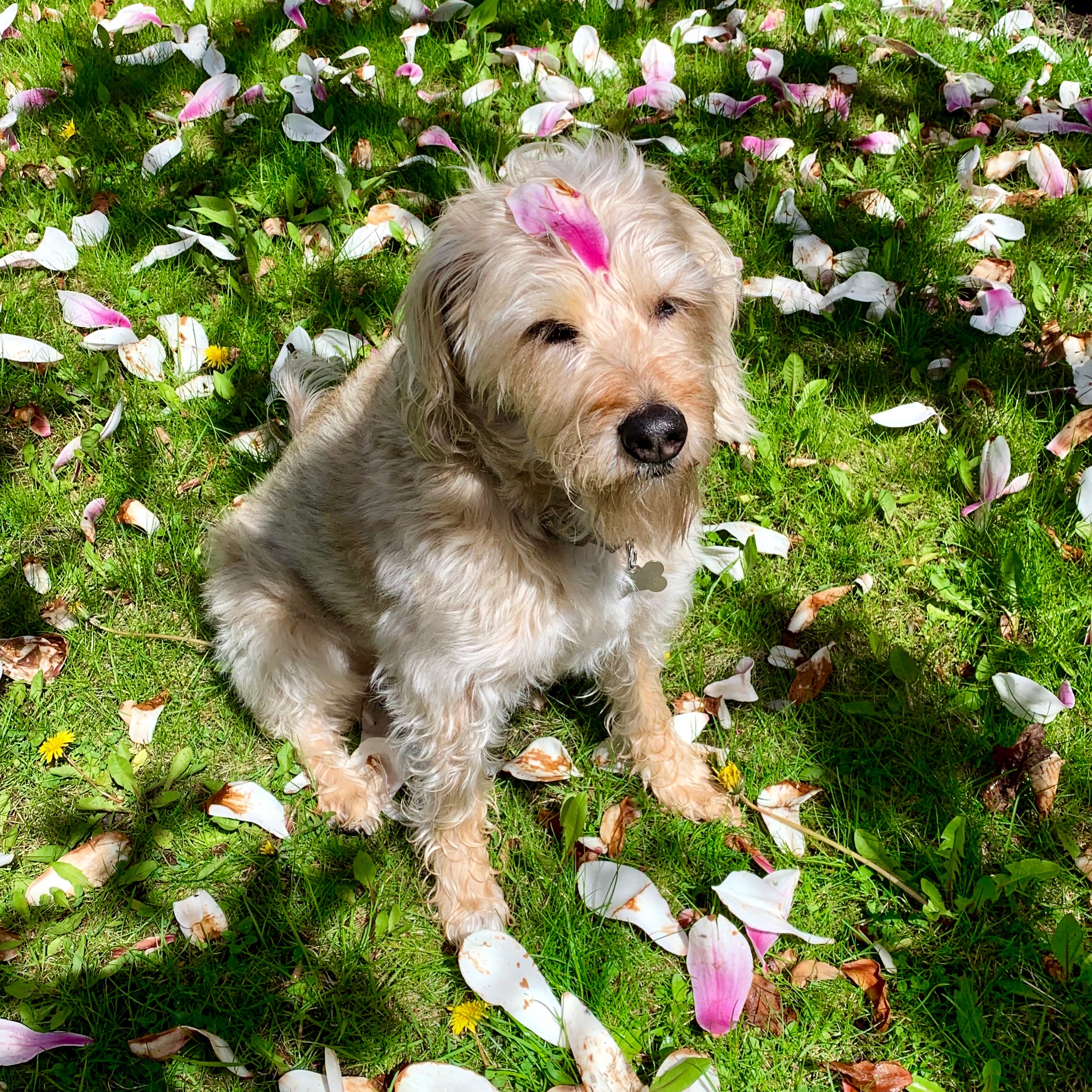 7EFC05C0-3254-4FA7-8C98-39B2269B27BB_Original