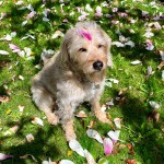 7EFC05C0-3254-4FA7-8C98-39B2269B27BB_Original