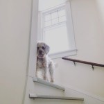 A3355AC5-994F-4041-B20F-BC81EF90EED3_Original